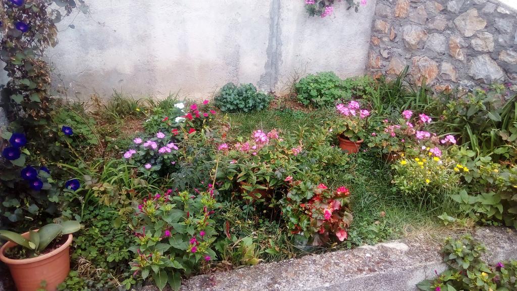 סנג' Guesthouse Filepi מראה חיצוני תמונה